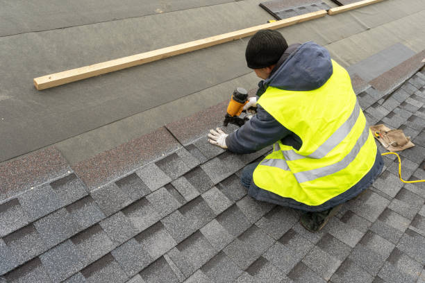 Best Roof Gutter Cleaning  in Central City, NE