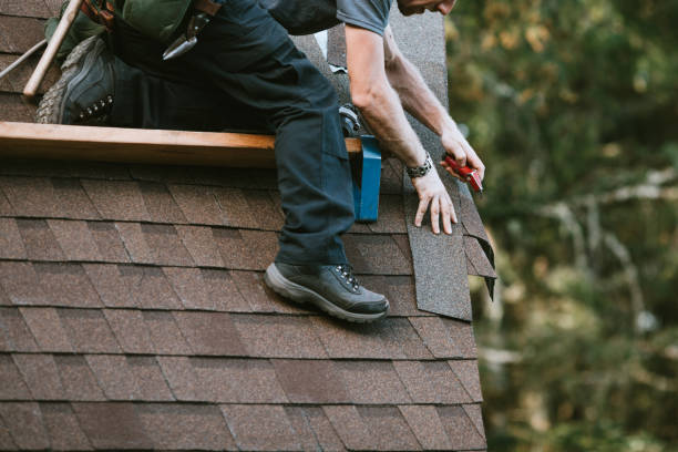 Roof Gutter Cleaning in Central City, NE